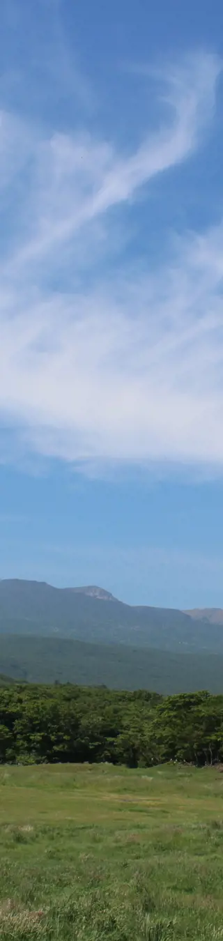 Besuche den Hallasan Nationalpark auf der Insel